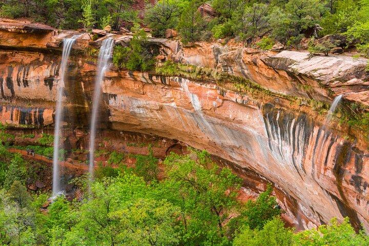 Zion National Park Self-Guided Driving & Shuttling Tour