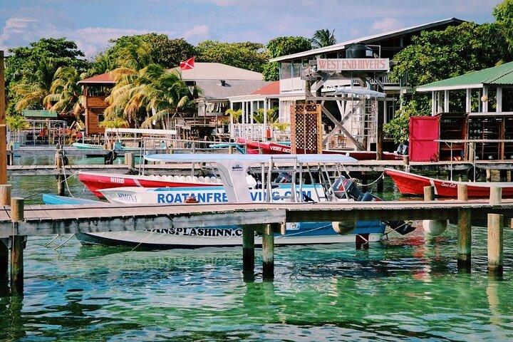 West End Tour (Choco Factory + Rum Company + Art Gallery + Rusty Fish and more)
