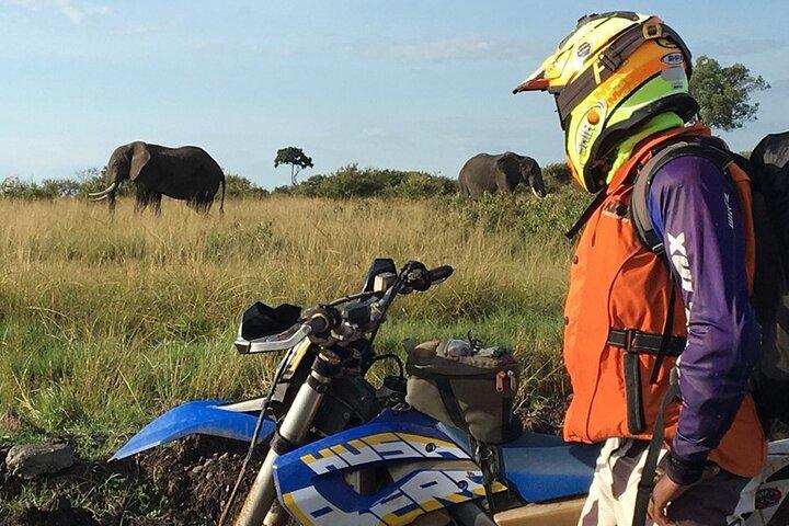 7 days off-road motorbike wildlife experience Soysambu Conservancy, Maasai Mara