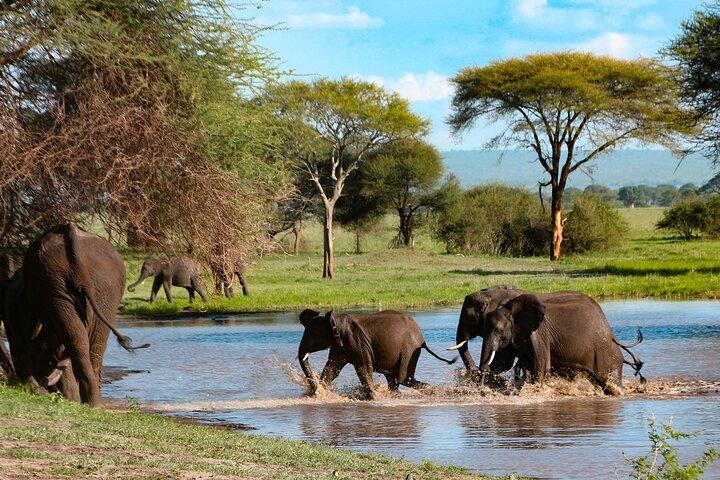 5-Day Group Tour Mid Range