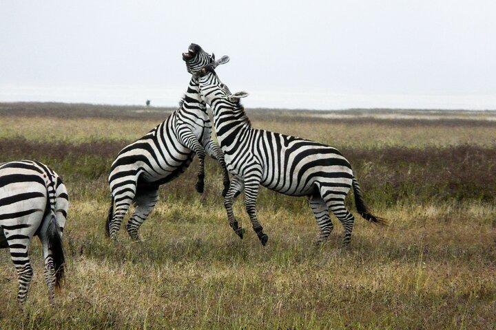 5-Day Group Tour Mid Range