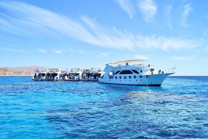 Boat Trip to Ras Mohamed & White island Red Sea & Snorkeling in Sharm elsheikh