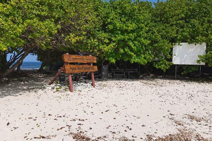 Pigeon Island Snorkeling – Swim with Sharks & Turtles