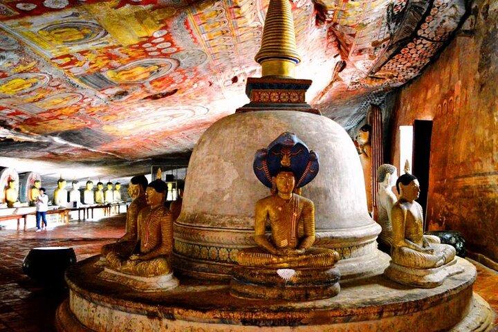 2 Days Private Tour of Sigiriya & Dambulla with Minneriya Safari - All Inclusive