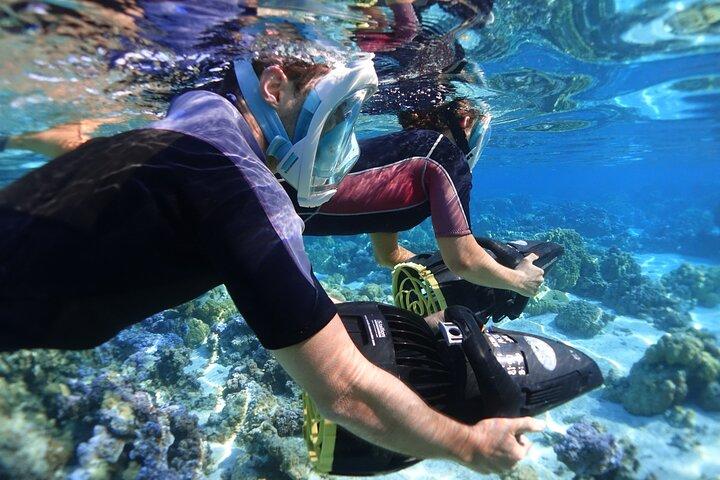 Sea Scooter Snorkeling: Sharks, Stingrays, Turtles & Coral
