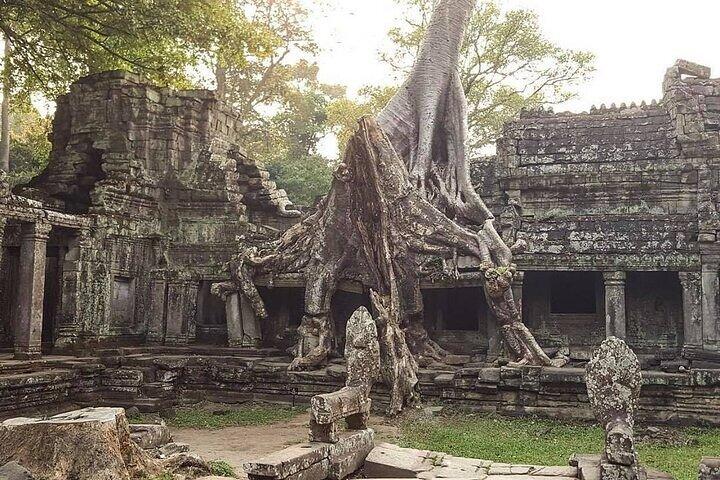 Siem Reap Private Car Tour: Angkor Grand Circuit (Half Day)
