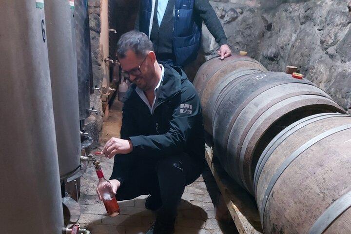 Wine Tasting in the Countryside from Budapest