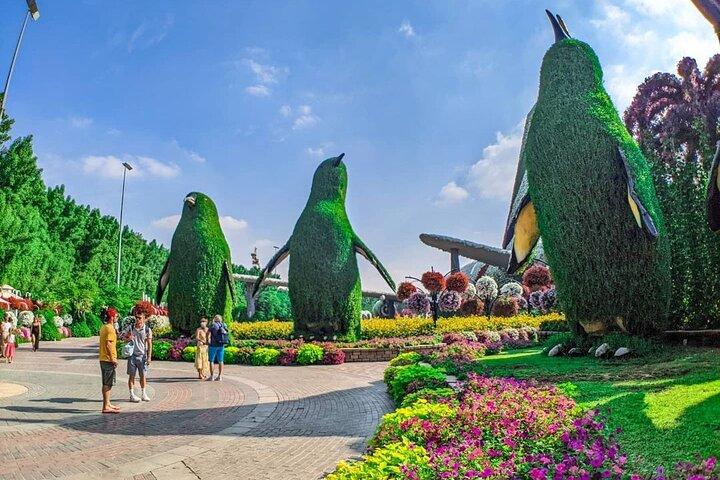 Dubai Miracle Garden Ticket