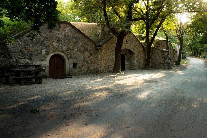 Wine Tasting in the Countryside from Budapest