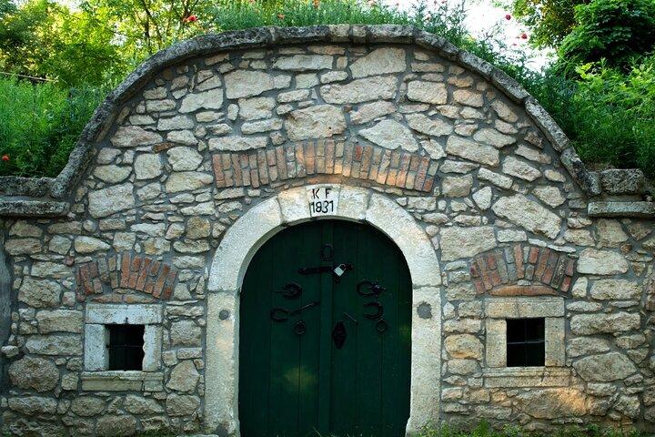 Wine Tasting in the Countryside from Budapest