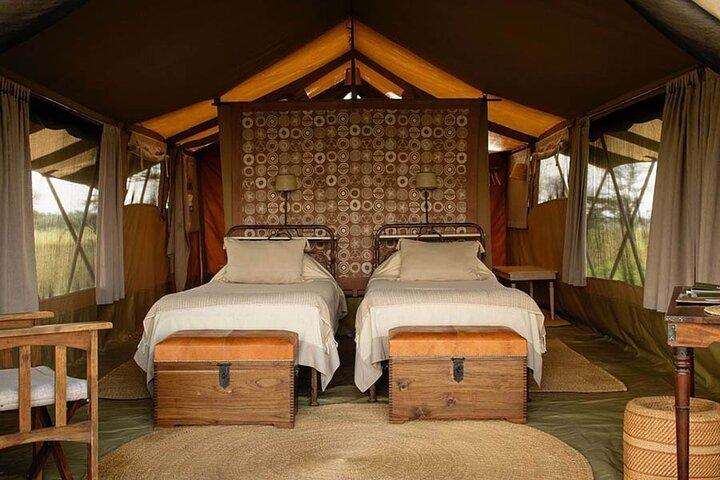 Private Multi day Safari tour in Tanzania