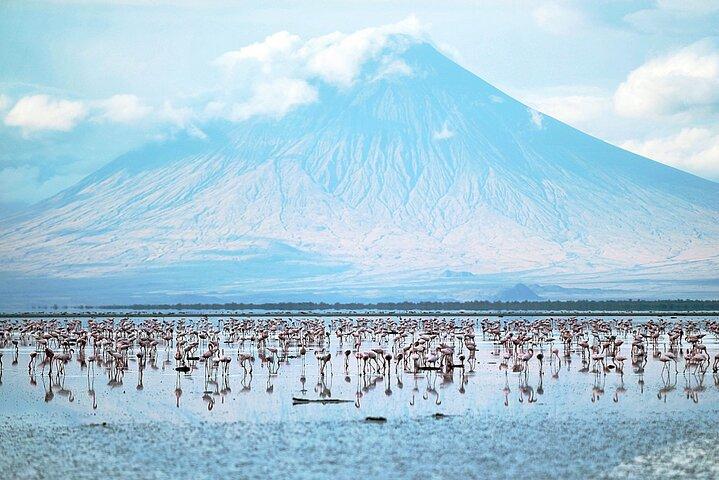 Private Multi day Safari tour in Tanzania