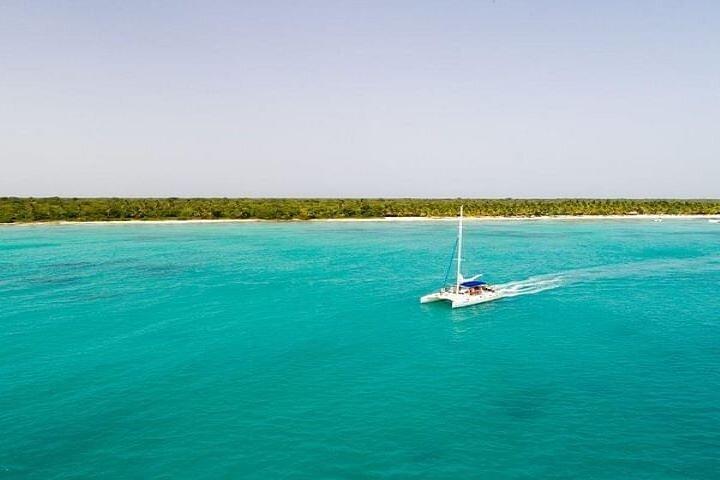 Saona Island Full-Day Tour with Lunch from Punta Cana