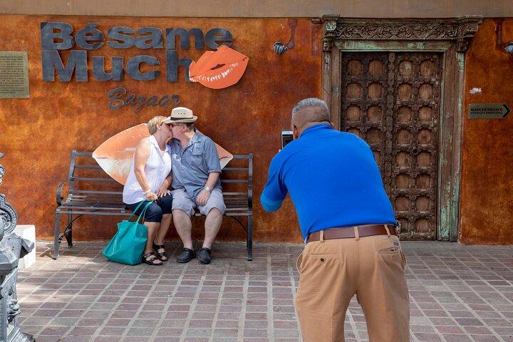 Todos Santos Magical Town Guided Tour