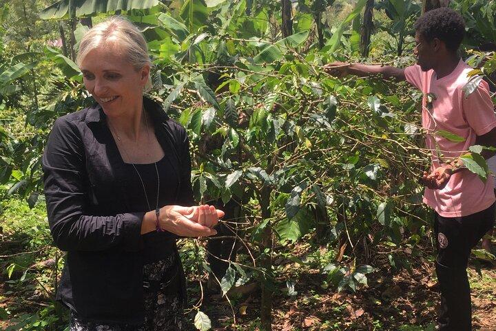 Organic Coffee Tour and Local Food Experience in Arusha