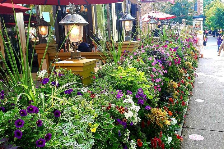 Niagara-on-the-Lake Walking Food, Wine or Beer Tasting Tour