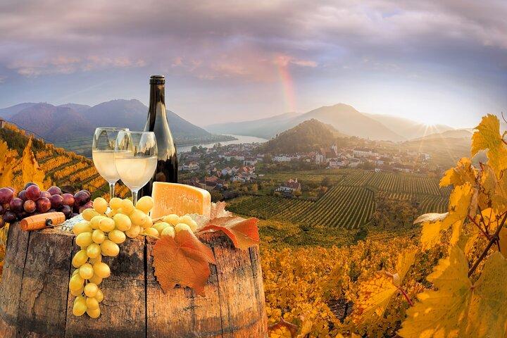 Vienna Wine Tasting Tour with Private Wine Expert