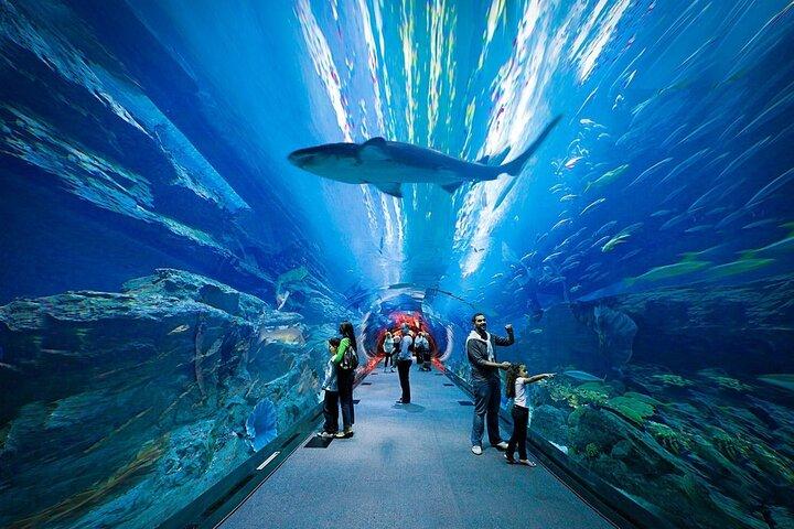 Dubai Aquarium and Underwater Zoo
