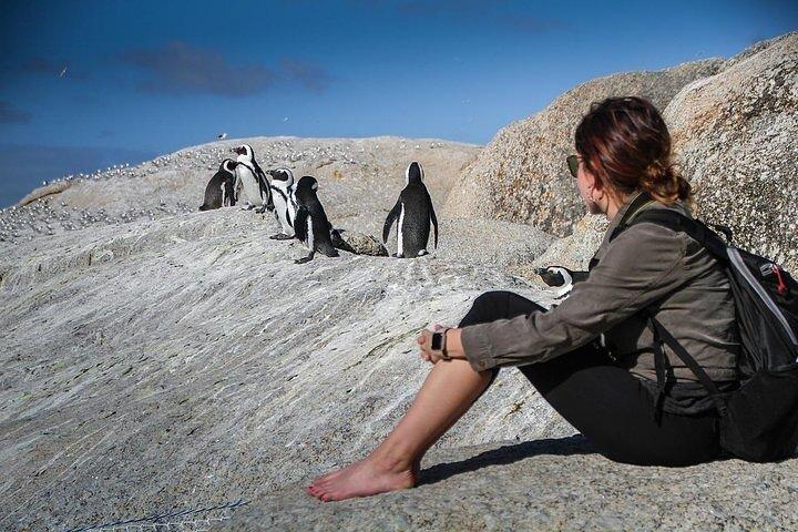 Adventure 3-Day Guided Tour to Cape Town Top Attractions