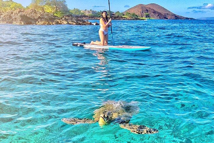Private Stand Up Paddle Boarding Tour in Turtle Town, Maui