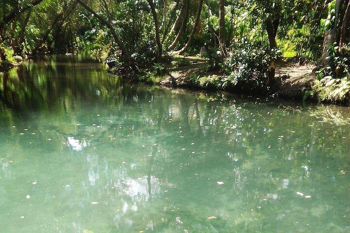 Damajagua The 7 waterfalls excursion - Amber Cove & Taino bay