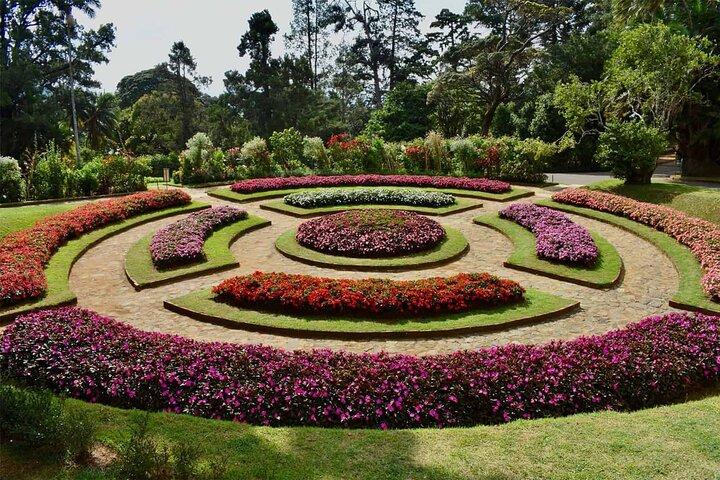 Kandy Heritage & Kingdom Discovery-All Inclusive Private Day Trip