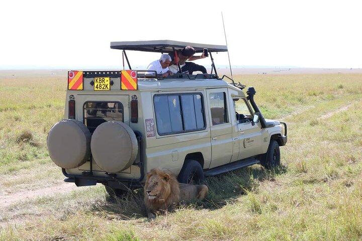 Wildlife safaris and mountain climbing