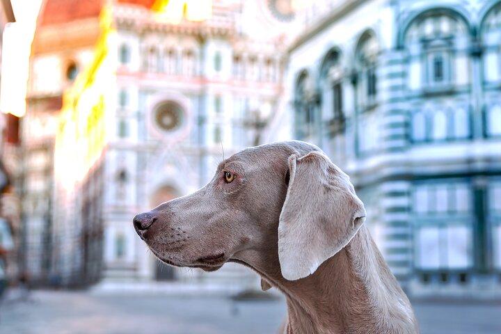 3-Hour Private Photographic Tour in Chianti and Val d'Orcia Florence