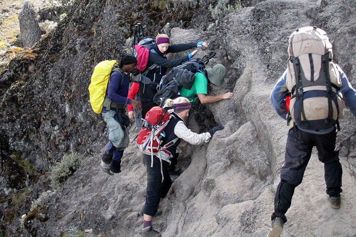 8 Day Private Kilimanjaro Climb via Lemosho Route