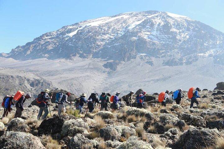 8 Day Private Kilimanjaro Climb via Lemosho Route