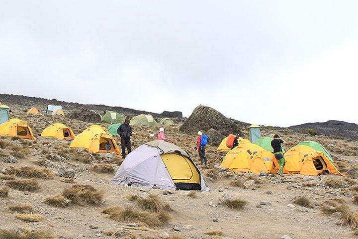 8 Day Private Kilimanjaro Climb via Lemosho Route