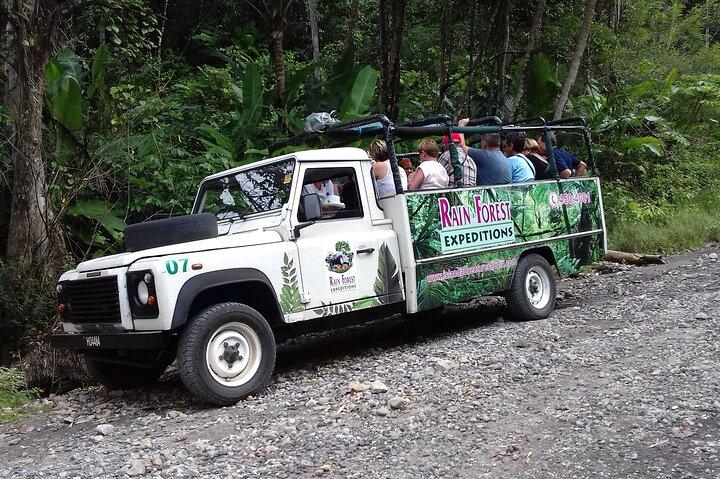 Jeep & Zipline Adventure in St. Lucia