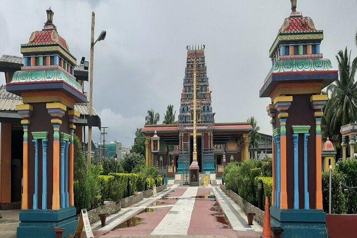 Mud Pools, Gardens, Markets, Temple & Shopping-Nadi Tour half day