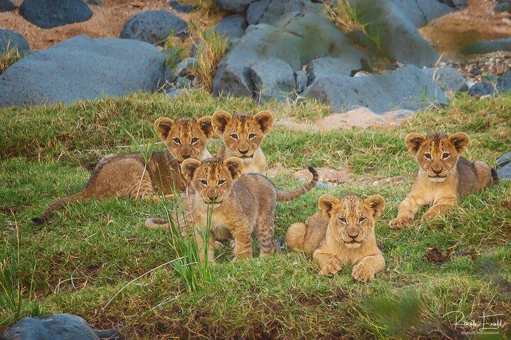 Private Full Day Safari (10 hours) in Kruger National Park
