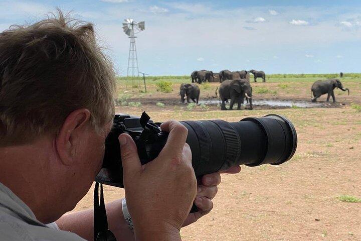 Private Full Day Safari (10 hours) in Kruger National Park