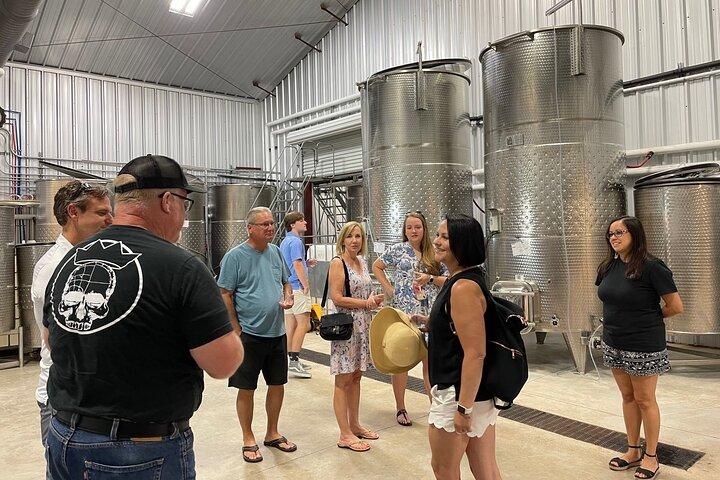 Fredericksburg Texas Area Wine Tastings: 3 Wineries and Lunch