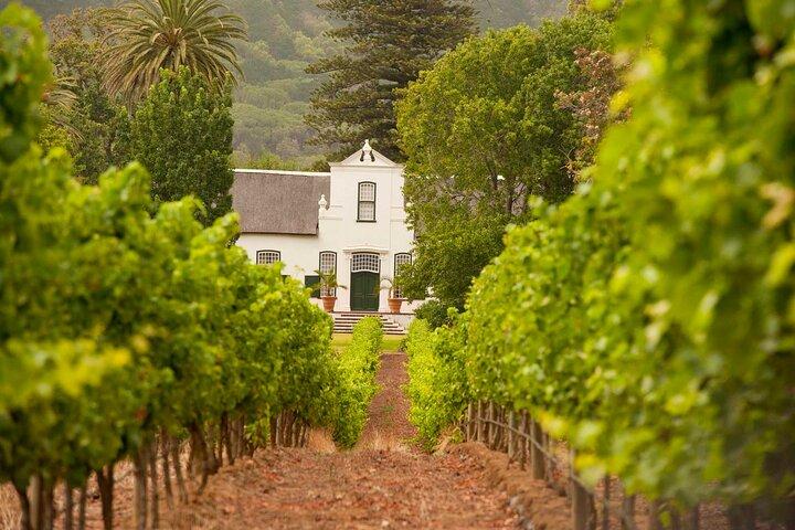 Cape Town: Winelands Private Half Day Tour