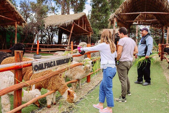 2-Day Tour: Sacred Valley and Machu Picchu by Train from Cusco