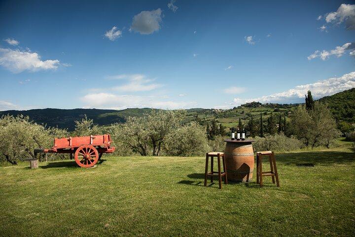 Exclusive lunch, Winery tour, Organic wines in Chianti Classico