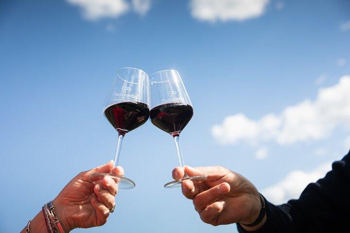 Exclusive lunch, Winery tour, Organic wines in Chianti Classico