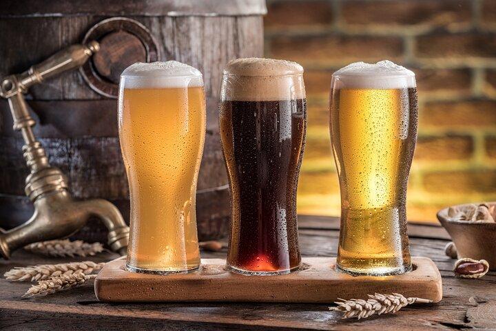 Private Austrian Beer Tasting Tour in Vienna Old Town