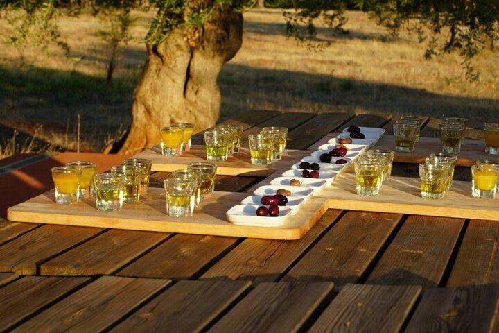 Olive Oil Tasting at the Mykonian Farm