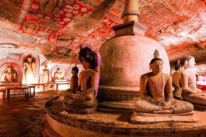 Private Day Trip To Sigiriya Dambulla and Safari From Colombo