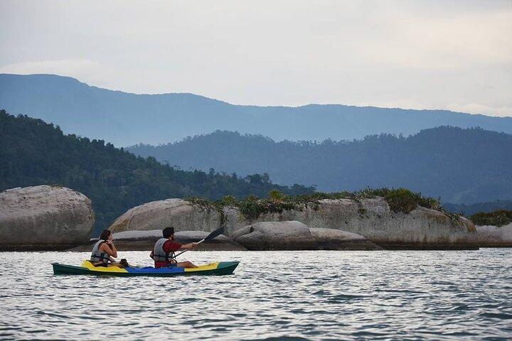 Kayaking Mangroves tour