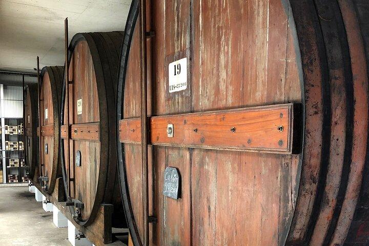 Port Wine Tour | 3 Cellars | 7 Tastings | 12 Participants Maximum