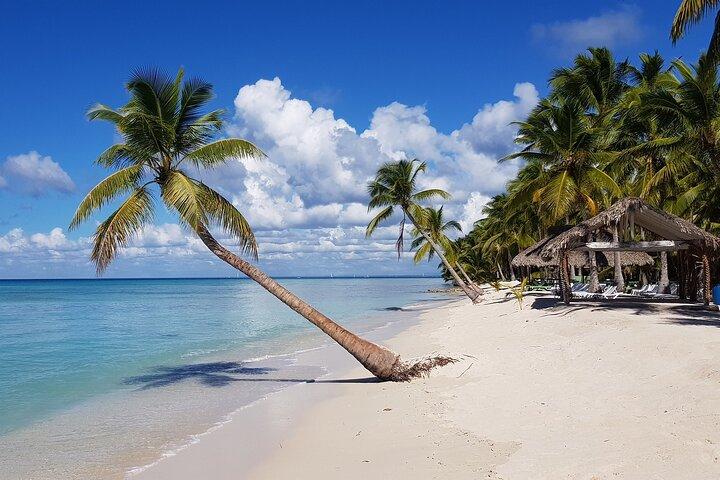 Saona Island Day Trip From Cap Cana with Lunch and Open Bar Included