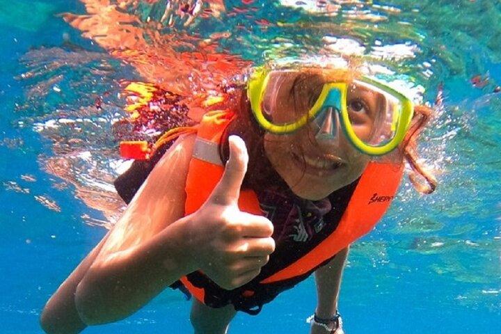 Snorkel with whale sharks includes equipment & transportation