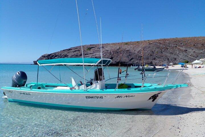 Snorkel with whale sharks includes equipment & transportation