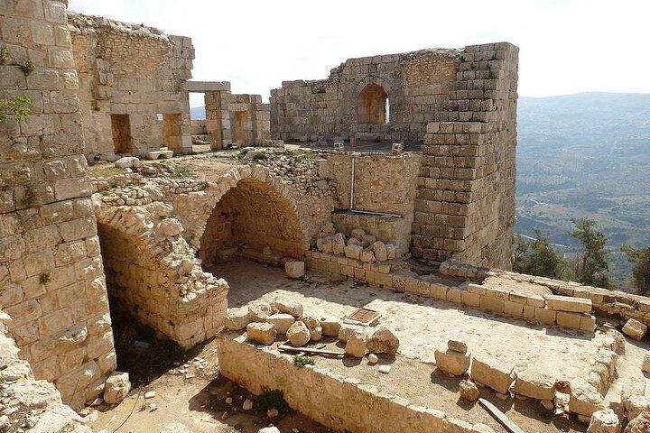 Amman: Private or Group Tour to Jerash, Ajloun & Um Qais