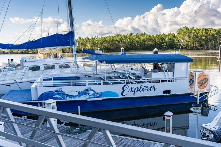 Orange Beach Dolphin Eco Boat Tour